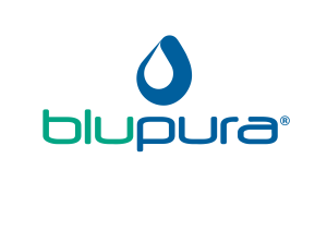 04 DS Logo Blupura